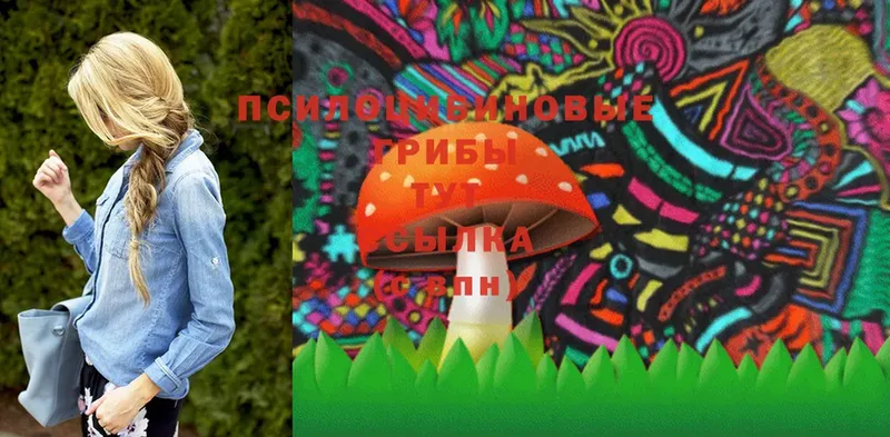 Псилоцибиновые грибы Psilocybe  MEGA зеркало  Зубцов 